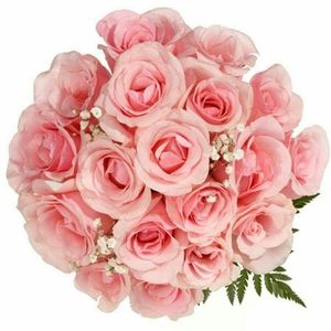 Meet your Posher, Seidi